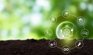 How Supply Chain Finance Supports Sustainable Business Growth