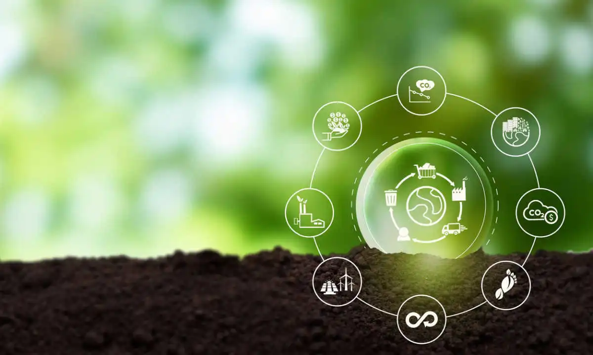 How Supply Chain Finance Supports Sustainable Business Growth
